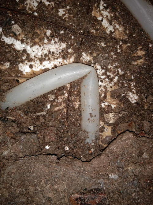 庆城堵点精准查找